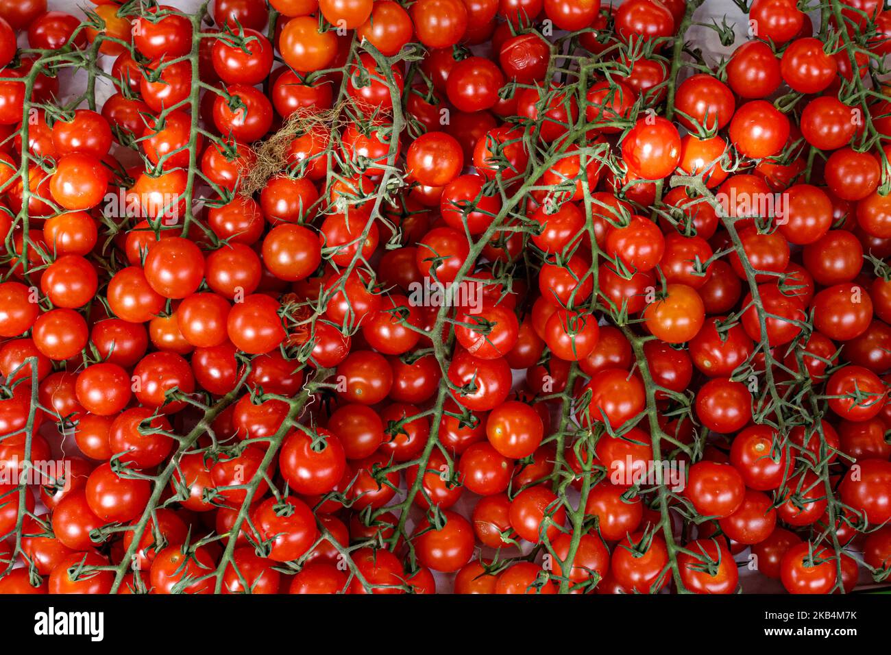 Pomodori prugni freschi maturi al mercato locale Foto Stock