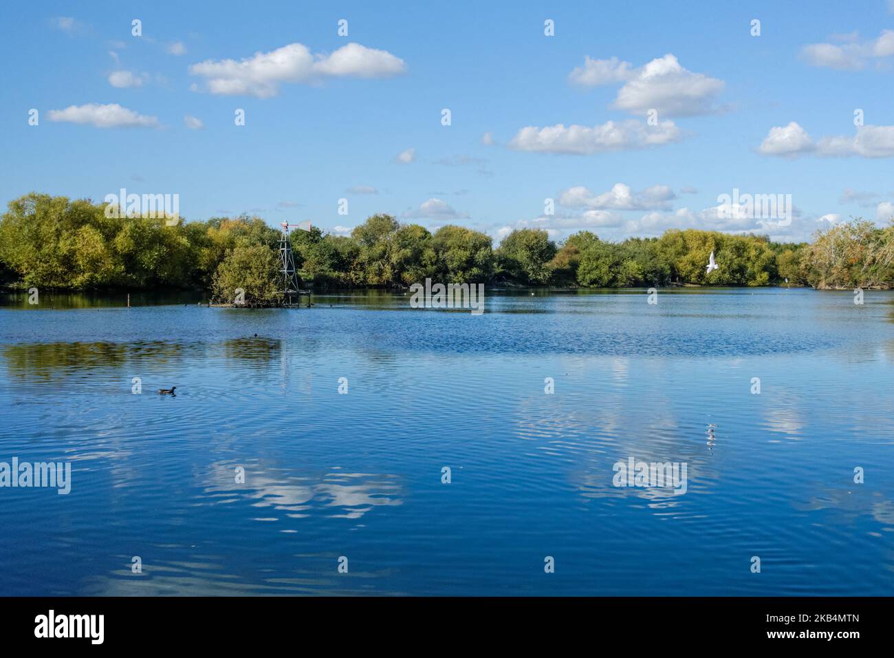 La riserva naturale di Chase Foto Stock