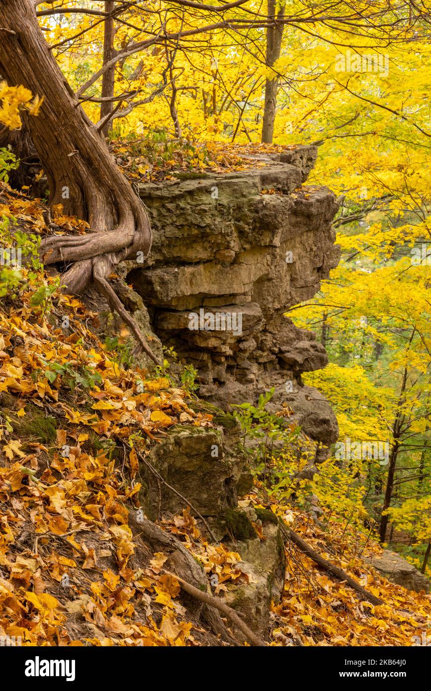 Rocky Hill in the Woods in autunno Foto Stock Rocky Hill in the Woods in autunno Foto Stock