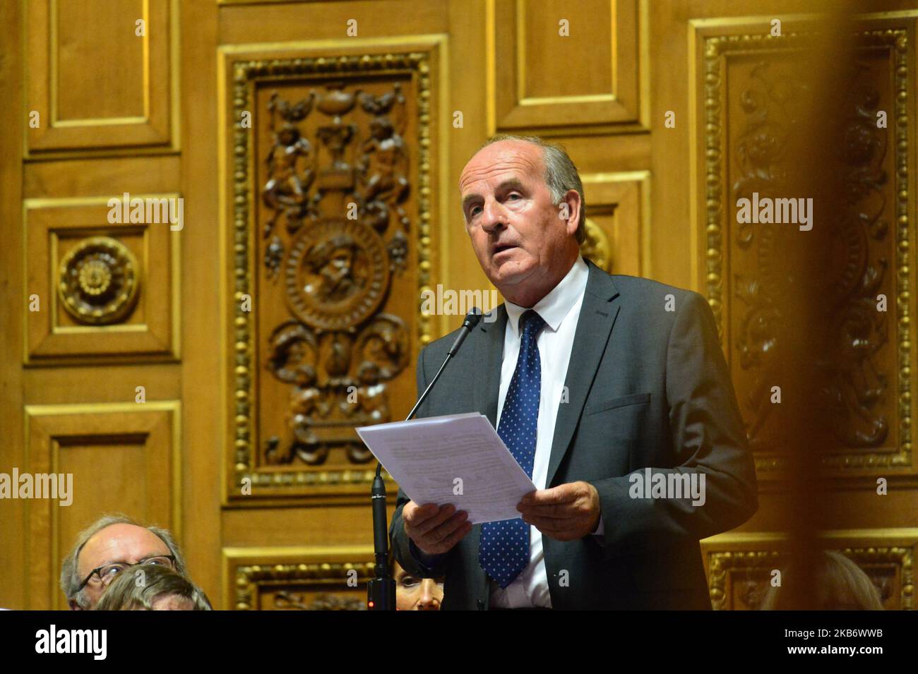 Il senatore Daniel LAURENT si rivolge al governo durante una sessione di domande al governo del Senato - 24 settembre 2019, Parigi (Foto di Daniel Pier/NurPhoto) Foto Stock