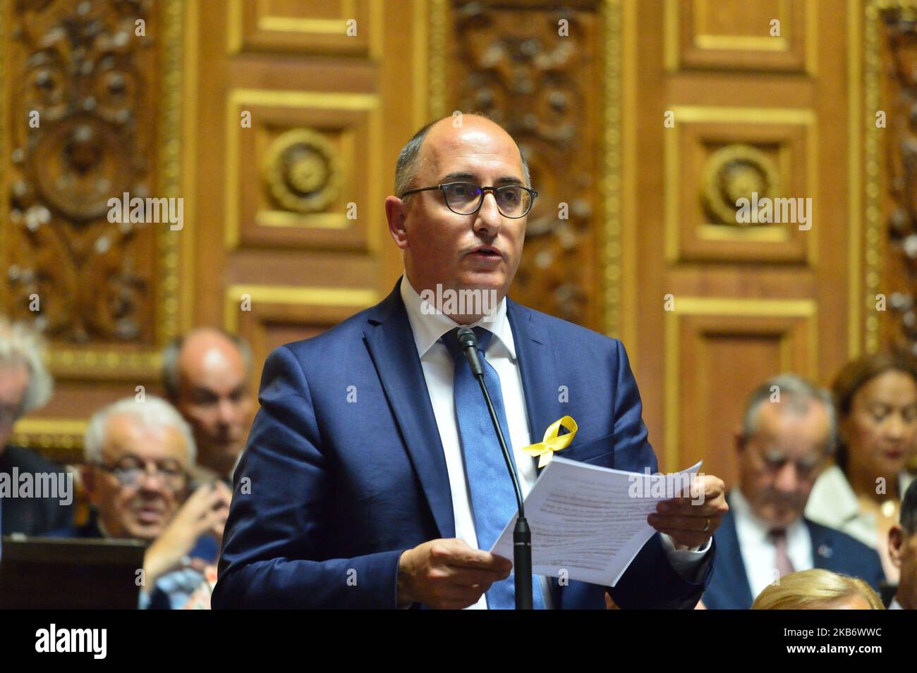 Il senatore Jean-Yves Roux si rivolge al governo durante una sessione di domande al governo del Senato - 24 settembre 2019, Parigi (Foto di Daniel Pier/NurPhoto) Foto Stock