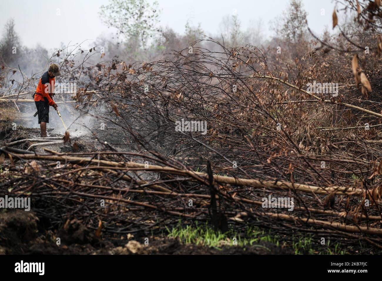 Un abitante estingue l'incendio su una torba e una foresta bruciate a Sampit, nella provincia centrale del Kalimantan, Indonesia, 2 ottobre 2019. Vigili del fuoco, personale militare ed elicotteri per la caduta dell'acqua sono stati impiegati per combattere gli incendi di Sumatra e Borneo che hanno causato la fitta foschia nei paesi vicini, Singapore e Malesia. (Foto di Andrew Gal/NurPhoto) Foto Stock