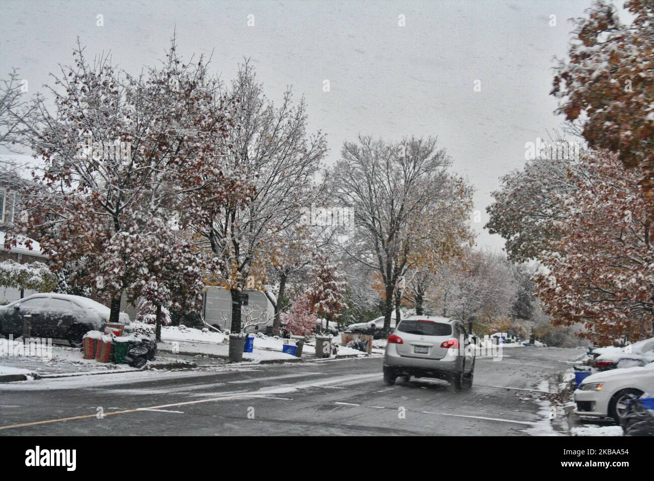 Prima nevicata della stagione a Toronto, Ontario, Canada, il 07 novembre 2019. La neve ha colpito la Greater Toronto Area appena in tempo per il viaggio mattutino e ha lasciato tra 1-5 cm di neve. (Foto di Creative Touch Imaging Ltd./NurPhoto) Foto Stock