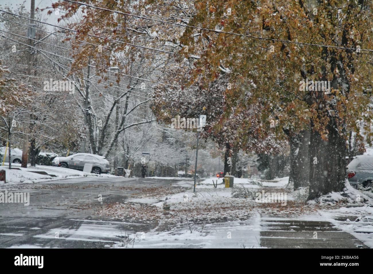 Prima nevicata della stagione a Toronto, Ontario, Canada, il 07 novembre 2019. La neve ha colpito la Greater Toronto Area appena in tempo per il viaggio mattutino e ha lasciato tra 1-5 cm di neve. (Foto di Creative Touch Imaging Ltd./NurPhoto) Foto Stock