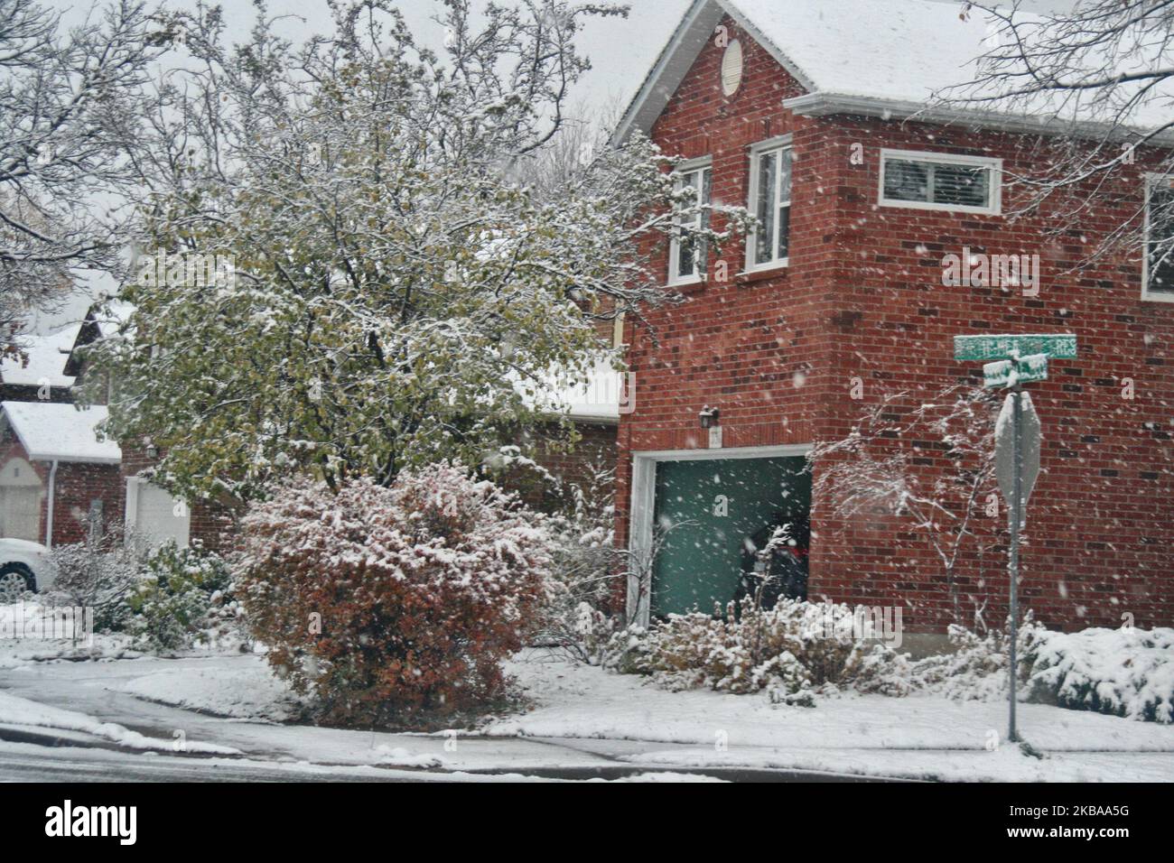 Prima nevicata della stagione a Toronto, Ontario, Canada, il 07 novembre 2019. La neve ha colpito la Greater Toronto Area appena in tempo per il viaggio mattutino e ha lasciato tra 1-5 cm di neve. (Foto di Creative Touch Imaging Ltd./NurPhoto) Foto Stock