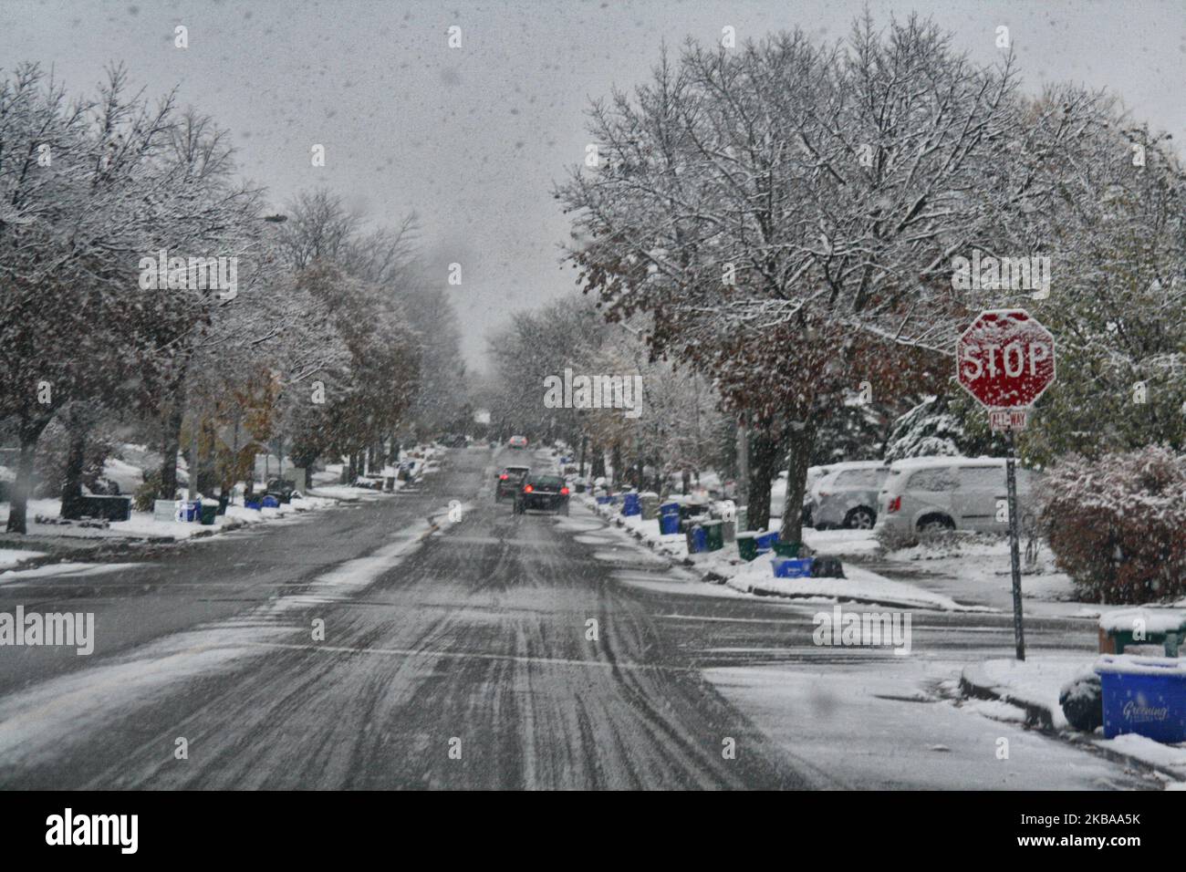 Prima nevicata della stagione a Toronto, Ontario, Canada, il 07 novembre 2019. La neve ha colpito la Greater Toronto Area appena in tempo per il viaggio mattutino e ha lasciato tra 1-5 cm di neve. (Foto di Creative Touch Imaging Ltd./NurPhoto) Foto Stock