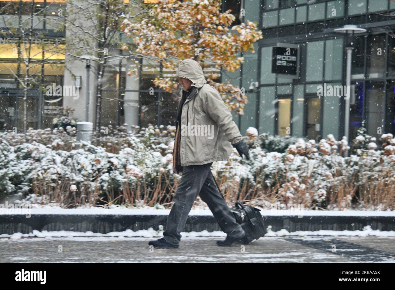 Prima nevicata della stagione a Toronto, Ontario, Canada, il 07 novembre 2019. La neve ha colpito la Greater Toronto Area appena in tempo per il viaggio mattutino e ha lasciato tra 1-5 cm di neve. (Foto di Creative Touch Imaging Ltd./NurPhoto) Foto Stock