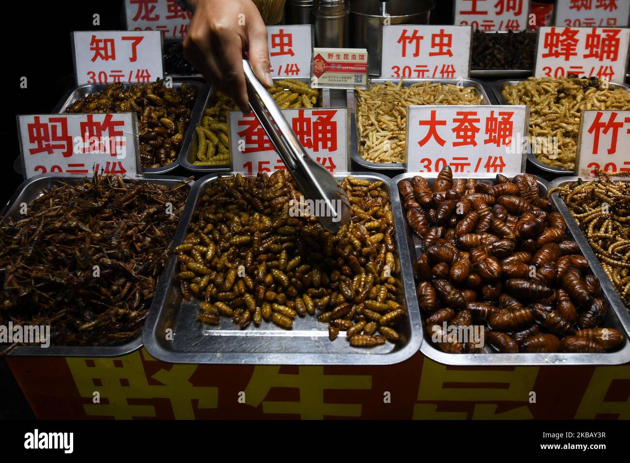 Insetti commestibili e insetti visti per la vendita su Zhongshan snack Street, il più grande mercato di cibo notturno di Nanning, la capitale di Guangxi, con centinaia di persone che passano ogni ora pianti e test cucina locale. Sabato 19 ottobre 2019, a Nanning, nella regione di Guangxi, Cina. (Foto di Artur Widak/NurPhoto) Foto Stock