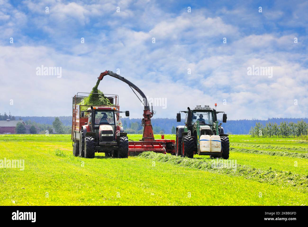 Due trattori per la raccolta di erba su campo con trincia per l'alimentazione di bovini da latte in una bella giornata di giugno. Spazio di copia. Foto Stock