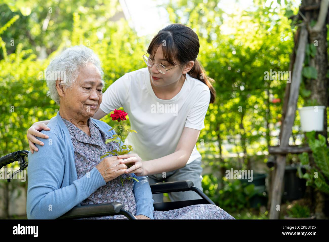 Donna anziana o anziana donna asiatica con fiore rosso di rosa, sorriso e felice nel giardino soleggiato. Foto Stock