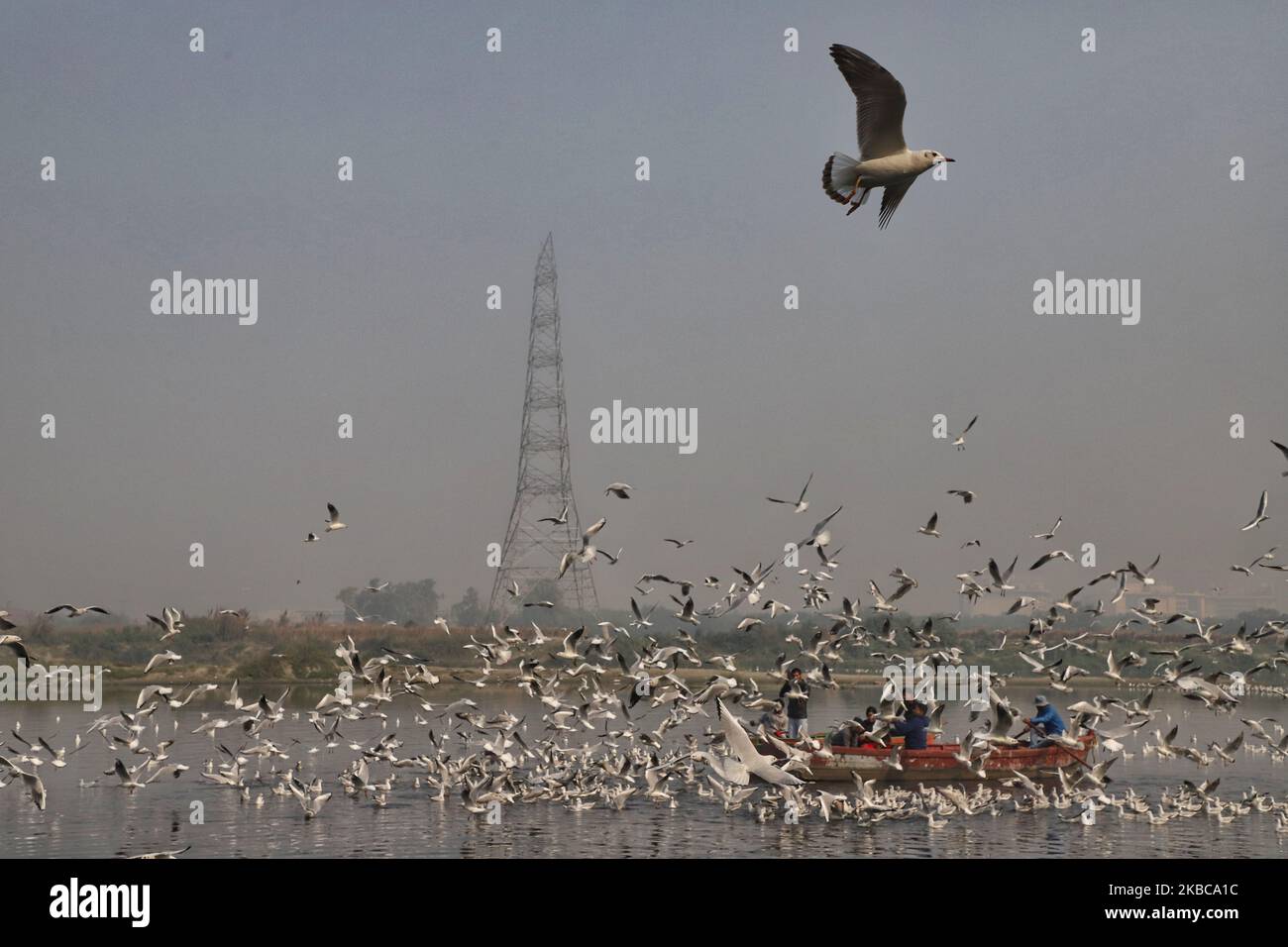 Acque inquinate del fiume yamuna immagini e fotografie stock ad alta ...