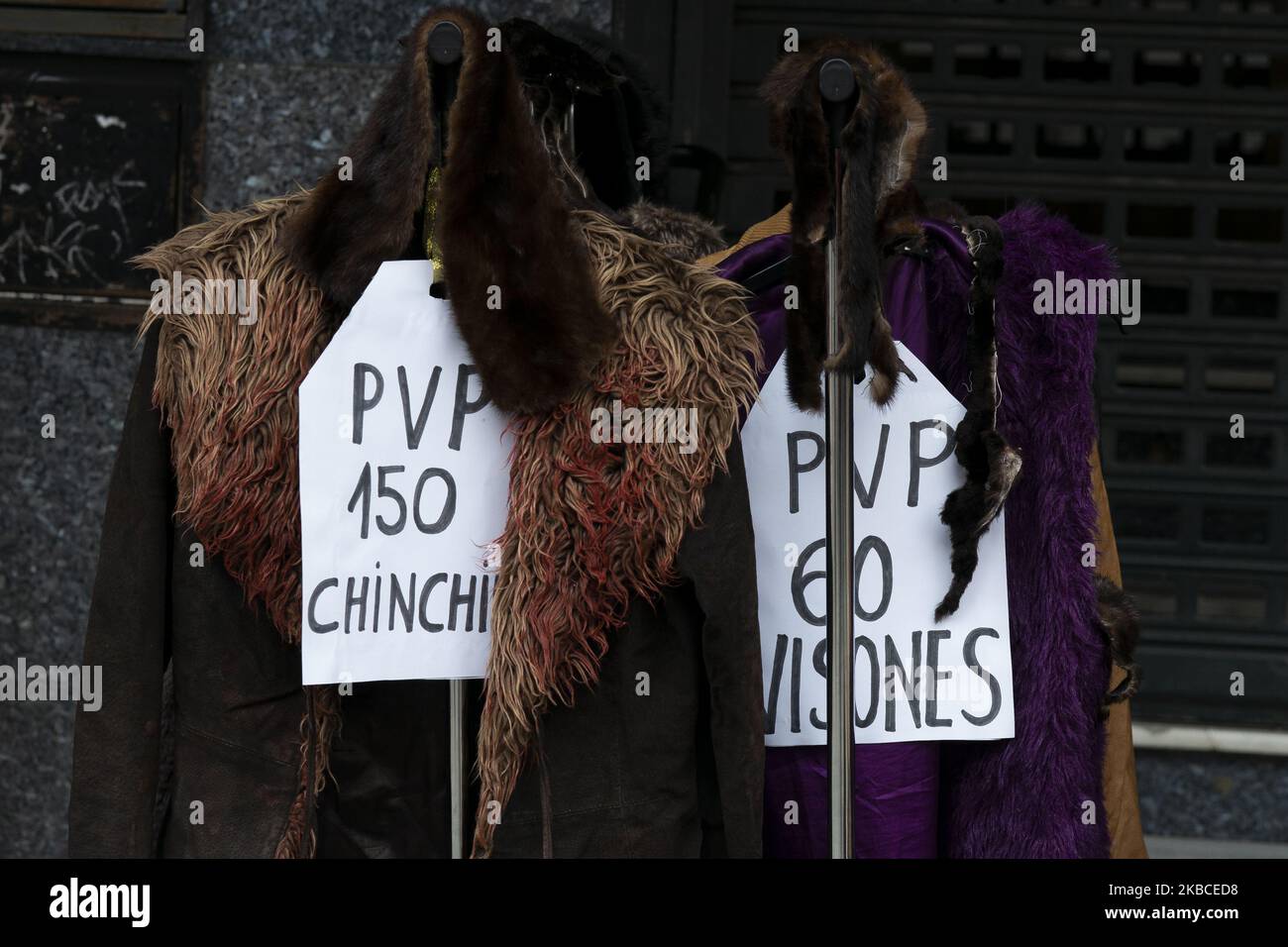 Gli attivisti di diverse organizzazioni che difendono i diritti degli animali hanno una bandiera che legge 'la pelliccia è morta' mentre prendono parte a un'azione di protesta contro gli animali dell'industria della pelliccia nel centro di Madrid, Spagna, 08 dicembre 2019. (Foto di Oscar Gonzalez/NurPhoto) Foto Stock