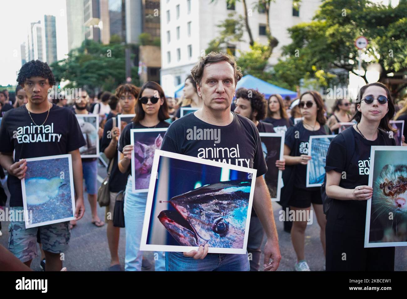 Gli attivisti per i diritti degli animali di Animal Equality Brasil tengono in mano immagini di animali maltrattati, durante una manifestazione per protestare contro il trattamento degli animali e attirare l'attenzione sulla Giornata internazionale dei diritti degli animali a Paulista Avenue a São Brasil, 8 dicembre 2019. (Foto di Felipe Beltrame/NurPhoto) Foto Stock