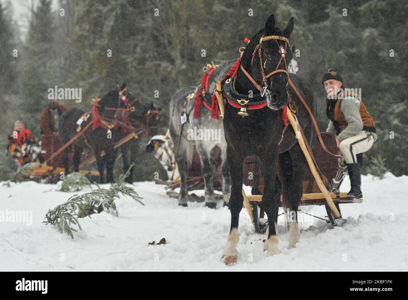 Partecipanti alla sfilata della 2020 edizione del concorso Poronin Kumoterki (gara tradizionale di carri). Domenica 19 gennaio 2019, a Male Ciche Lichajowki, Poronin, Polonia. (Foto di Artur Widak/NurPhoto) Foto Stock
