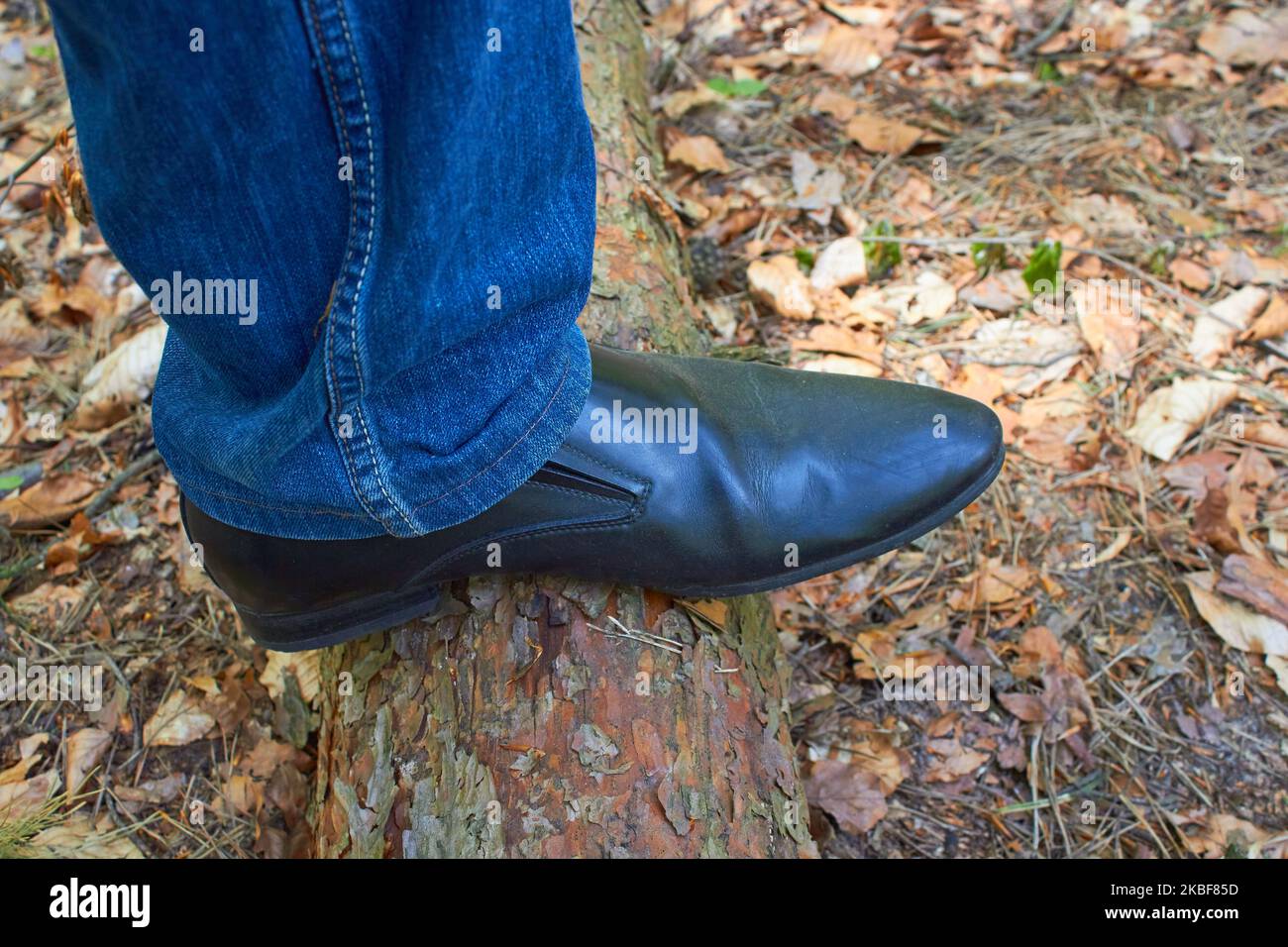 un passo a piedi sulla foresta autunnale Foto Stock