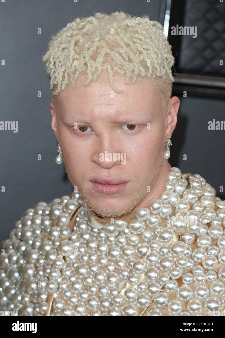 LOS ANGELES, CALIFORNIA, USA - 26 GENNAIO: Shaun Ross arriva ai 62nd Annual GRAMMY Awards tenutisi presso lo Staples Center il 26 gennaio 2020 a Los Angeles, California, Stati Uniti. (Foto di Xavier Collin/Image Press Agency/NurPhoto) Foto Stock