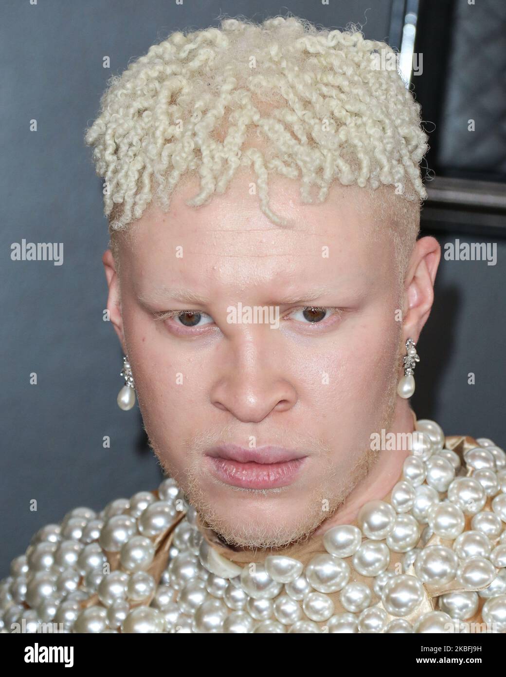 LOS ANGELES, CALIFORNIA, USA - 26 GENNAIO: Shaun Ross arriva ai 62nd Annual GRAMMY Awards tenutisi presso lo Staples Center il 26 gennaio 2020 a Los Angeles, California, Stati Uniti. (Foto di Xavier Collin/Image Press Agency/NurPhoto) Foto Stock