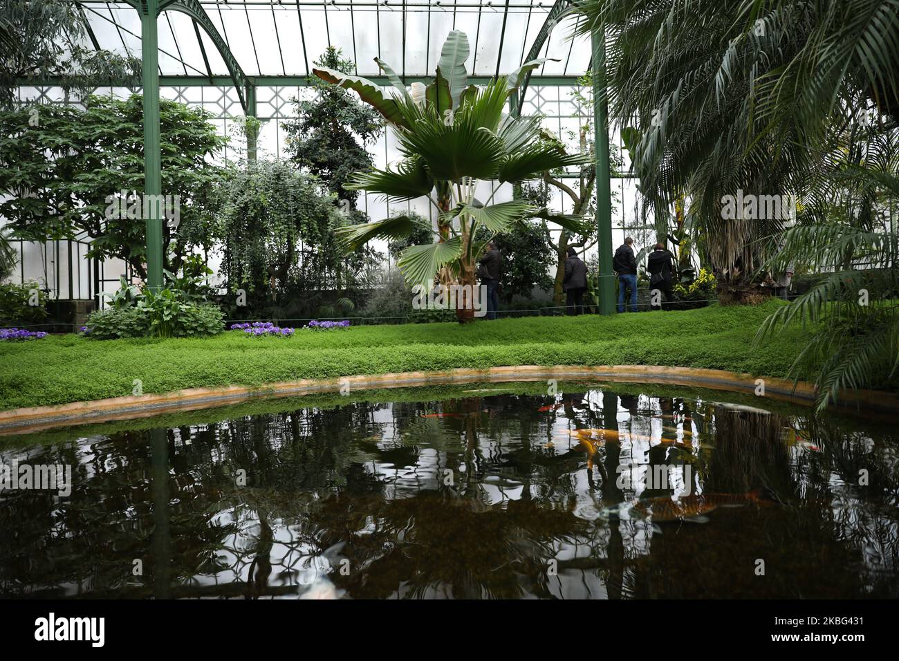 Pesci alla Garten Botanica di Wilhelma a Stoccarda, Germania il 2 febbraio 2020 (Foto di Agron Beqiri/NurPhoto) Foto Stock