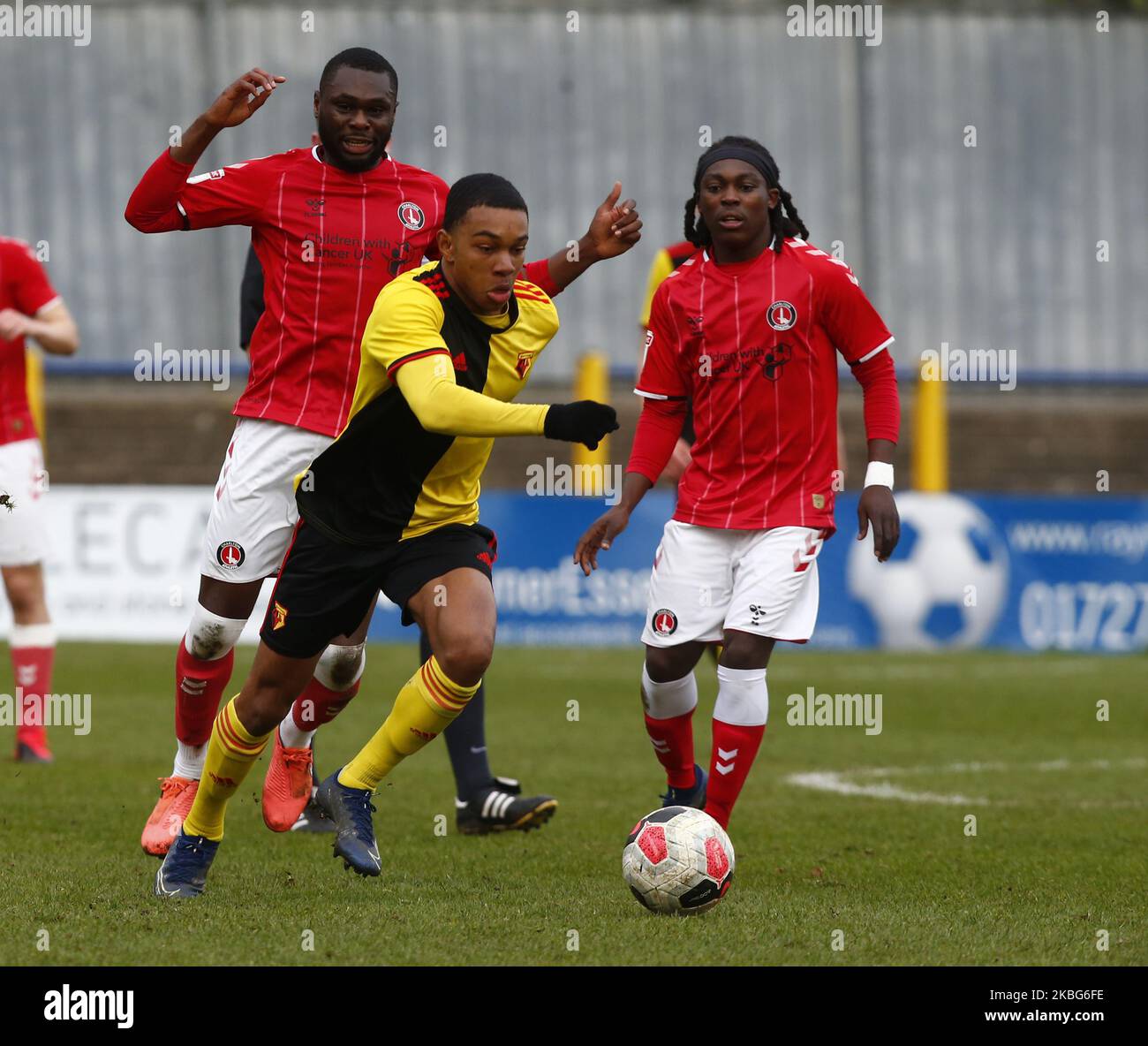 Kane Crichlow di Watford Under 23 durante la Professional Development League tra Watford Under 23s e Charlton Athletic Under 23s il 03 2020 gennaio al Clarence Park Stadium, St.Albans, Inghilterra. (Foto di Action Foto Sport/NurPhoto) Foto Stock