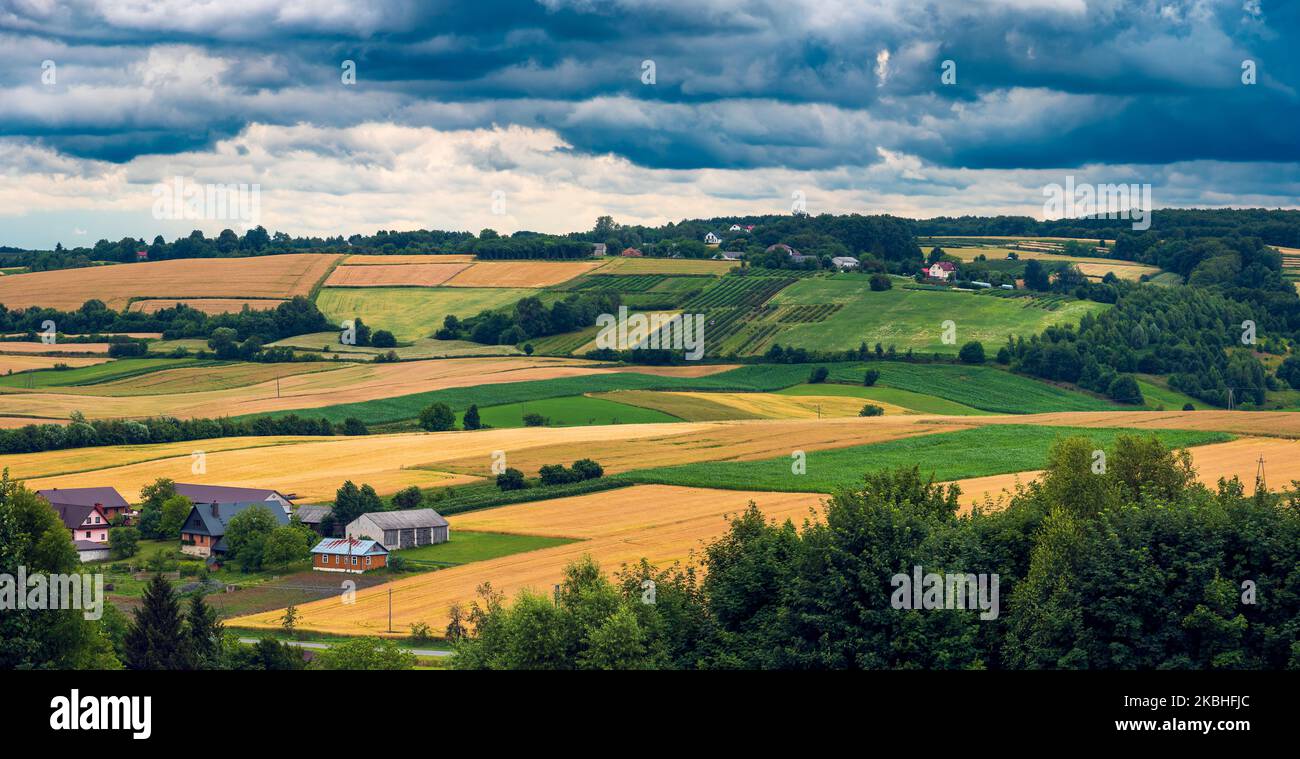 Un bellissimo panorama della Roztocze Ovest. Colline ondulate, campi e foreste. Una fattoria tra i campi. Roztocze è conosciuta come la Toscana della Polonia. Hoszn Foto Stock