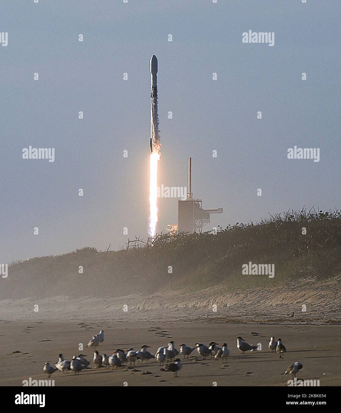 Un razzo SpaceX Falcon 9 che trasporta 60 satelliti Starlink forma un cono di vapore dopo il lancio dal pad 39A al Kennedy Space Center in Florida, come visto da Playalinda Beach a Canaveral National Seashore vicino a Titusville, Florida il 18 marzo 2020. Questa è la sesta missione Starlink progettata per fornire un servizio Internet ad alta velocità globale. (Foto di Paul Hennessy/NurPhoto) Foto Stock