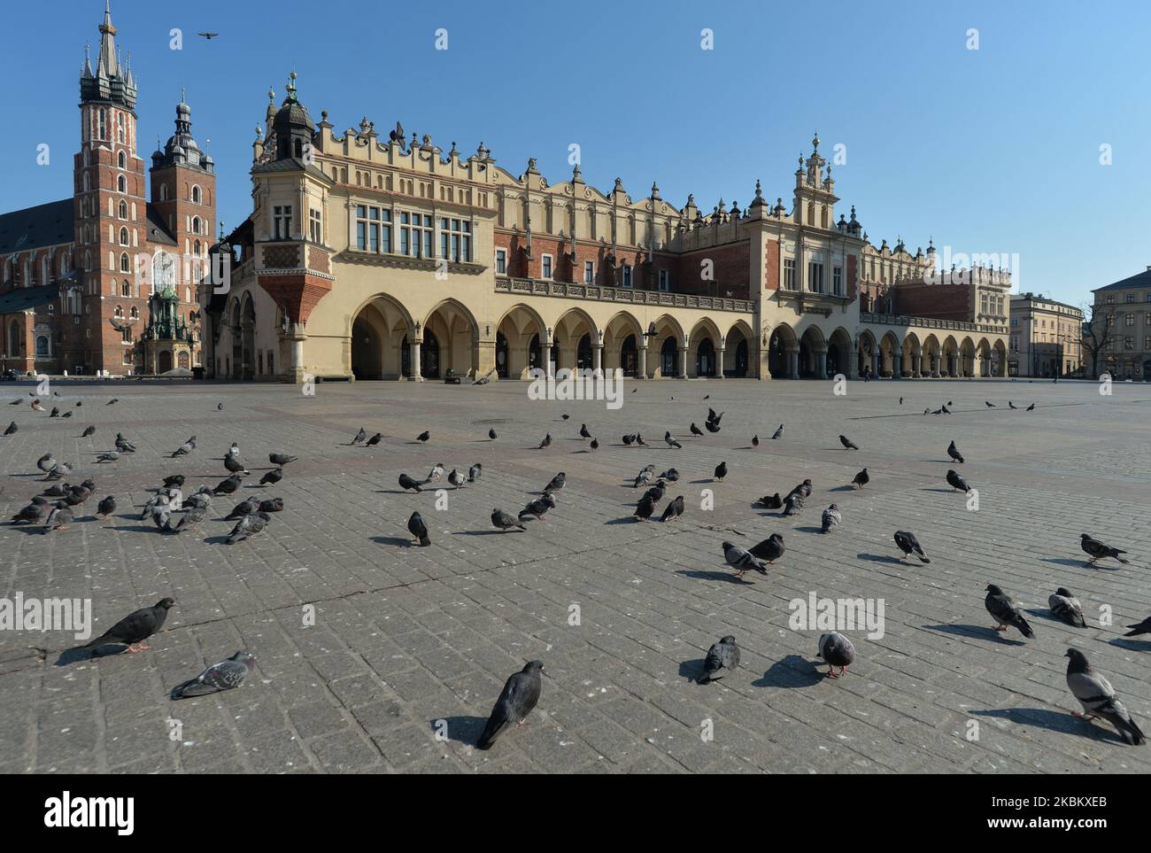 Una vista di una vuota Piazza del mercato di Cracovia. Un totale di 2.692 persone sono risultati positivi per la malattia COVID-19 in Polonia, con 51 morti per coronavirus finora, ha detto i funzionari il giovedì pomeriggio. Le cifre finali giornaliere sono previste per il 9pm . Giovedì 2 aprile 2020 a Cracovia, Polonia. (Foto di Artur Widak/NurPhoto) Foto Stock