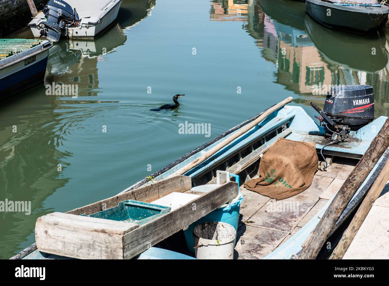 Un canale nell'Isola di Burano, parte della Laguna di Venezia durante l'emergenza Covid19. (Foto di Giacomo Cosua/NurPhoto) Foto Stock