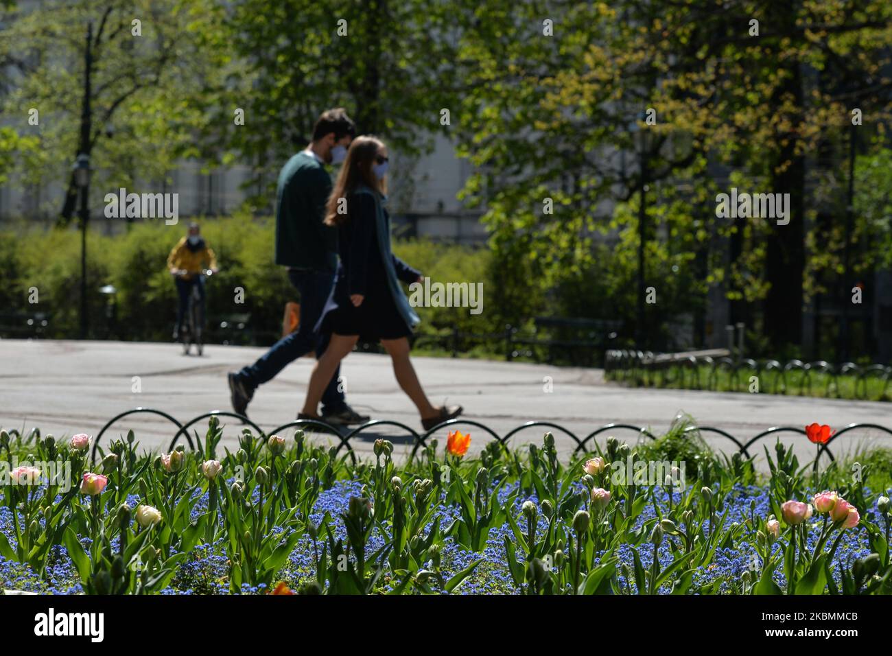 La gente cammina nel Parco Planty di Cracovia, dato che i polacchi possono ora godere di nuovo dello spazio verde. Da oggi (aprile 20) è stato revocato il divieto di spostarsi, viaggiare e soggiornare in luoghi pubblici. I parchi pubblici, le foreste e le spiagge sono stati riaperti, ad eccezione dei parchi giochi e delle strutture sportive. I bambini di età superiore ai 13 anni possono spostarsi senza genitori; la copertura della bocca e del naso in pubblico rimane ancora obbligatoria. I parchi giochi e le strutture sportive rimangono chiusi. Lunedì 20 aprile 2020 a Cracovia, Polonia. (Foto di Artur Widak/NurPhoto) Foto Stock