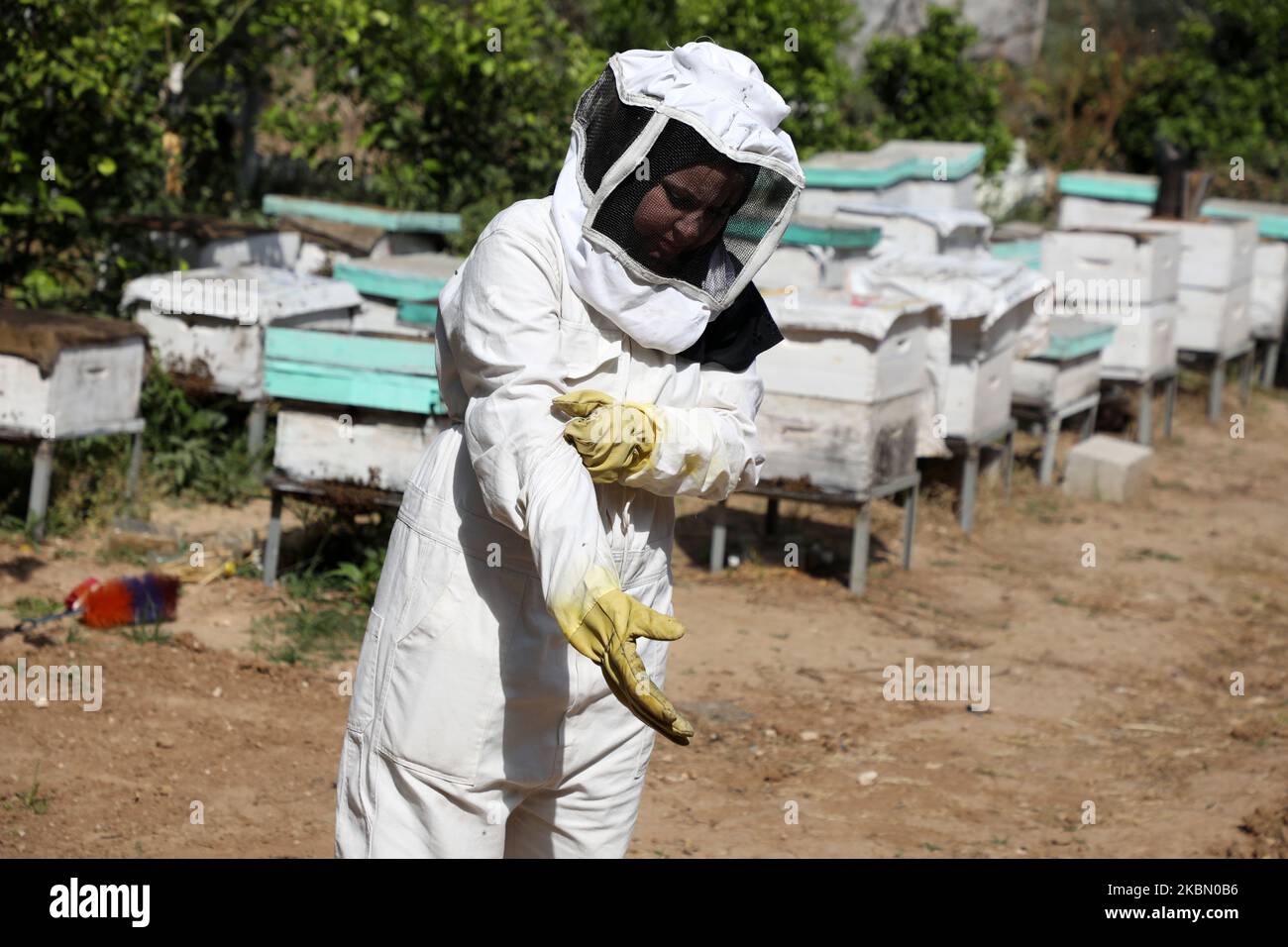 Samar Elbaa, apicoltore palestinese, usa un fumatore per calmare le api nella sua fattoria di api, in mezzo alle preoccupazioni circa la diffusione della malattia di coronavirus (COVID-19), nella striscia di Gaza settentrionale, il 27 aprile 2020. (Foto di Majdi Fathi/NurPhoto) Foto Stock