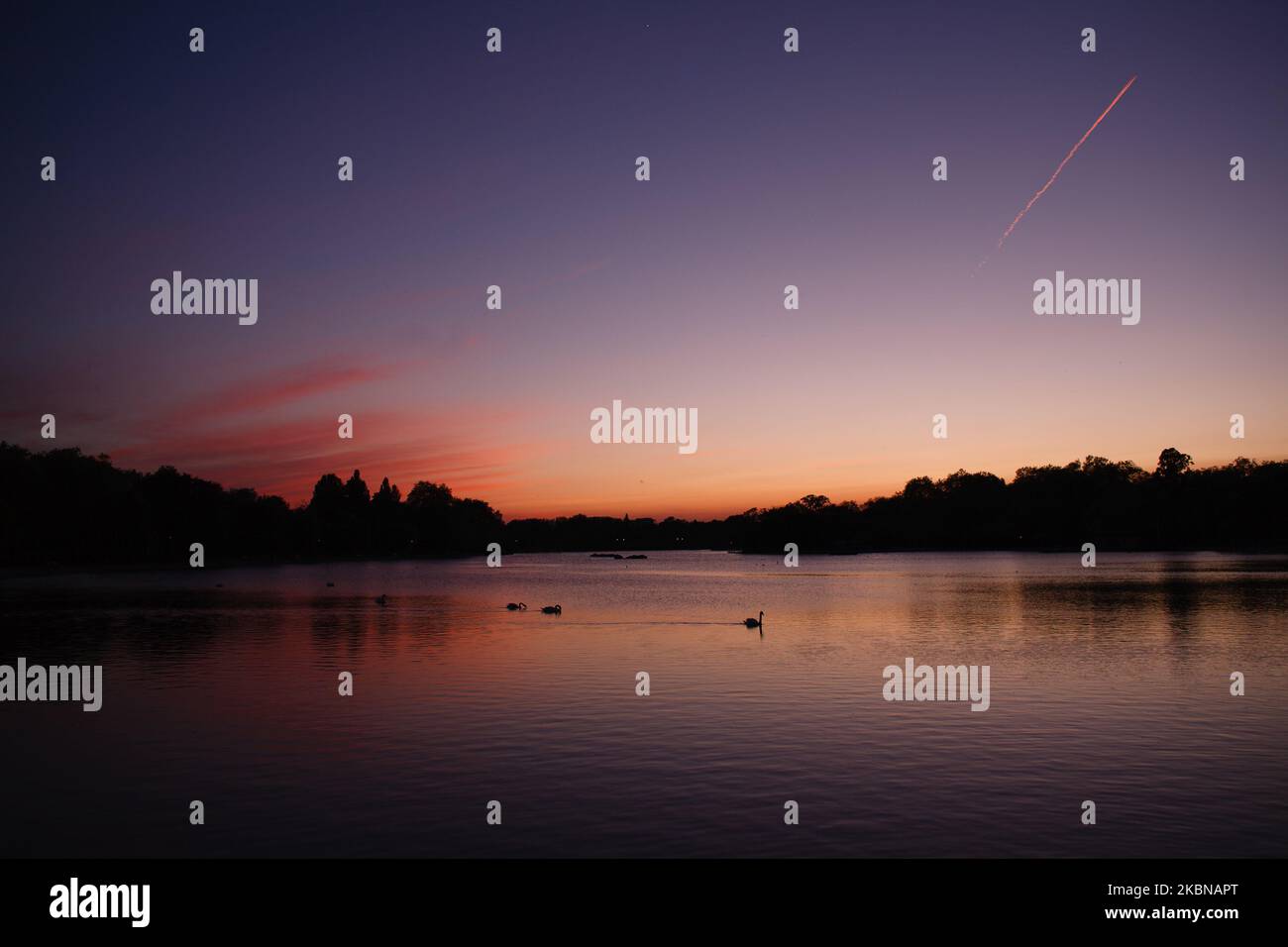 I cigni scivolano attraverso il lago serpentino di Hyde Park mentre il sole tramonta a Londra, Inghilterra, il 4 maggio 2020. (Foto di David Cliff/NurPhoto) Foto Stock