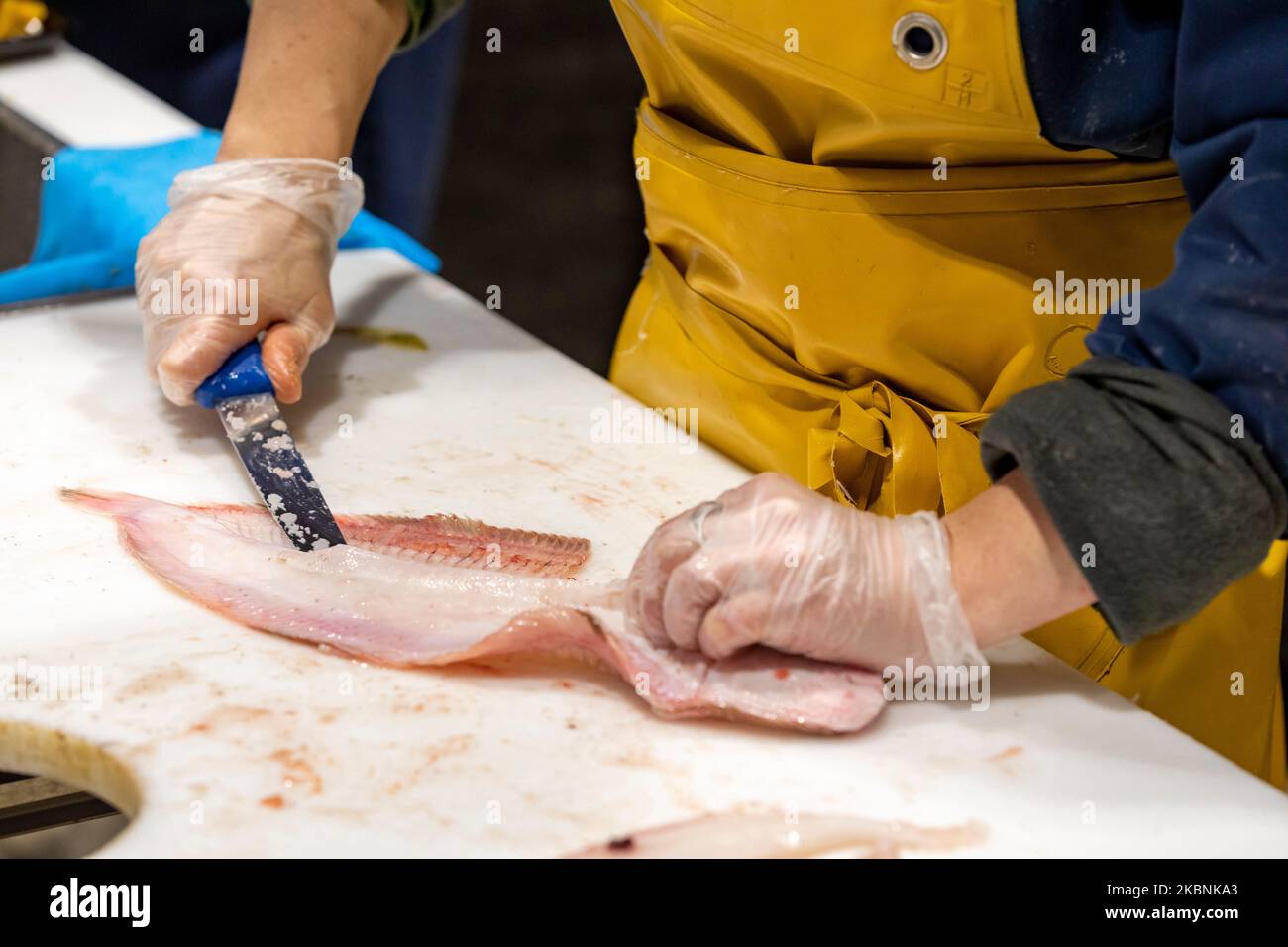 Banco di pesce in un supermercato Leclerc. Primo piano delle mani di un pescivendolo che taglia i filetti di un pesce. Foto Stock