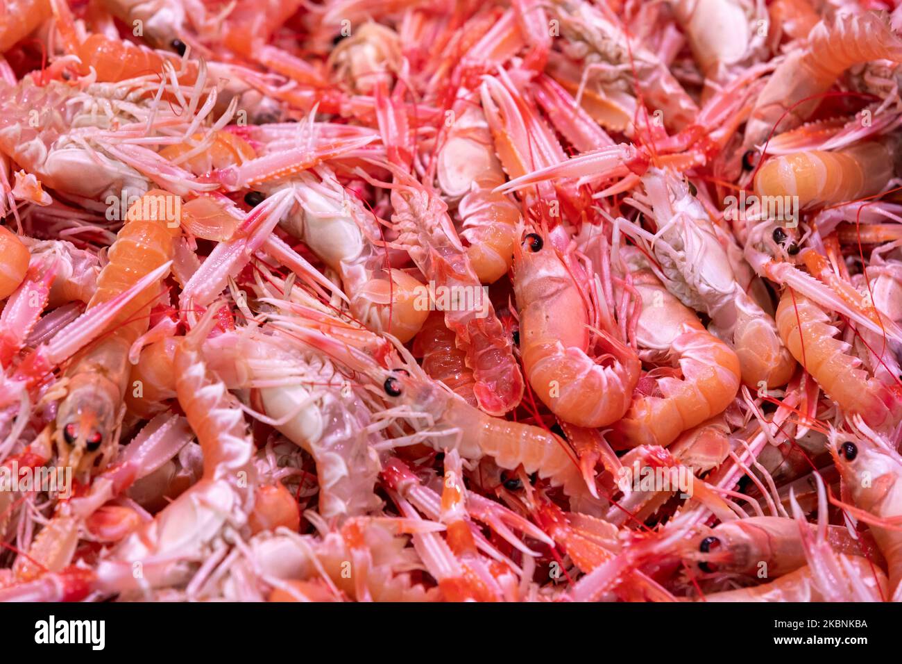 I gamberi della baia di Dublino nel reparto di pesce di un supermercato Super U. Foto Stock