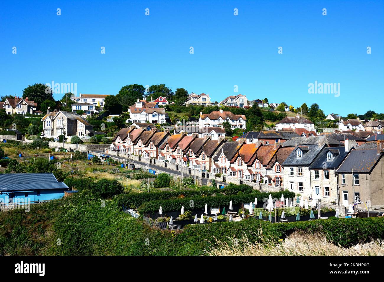 Vista rialzata delle case lungo Common Lane, Beer, Devon, UK, Europa. Foto Stock