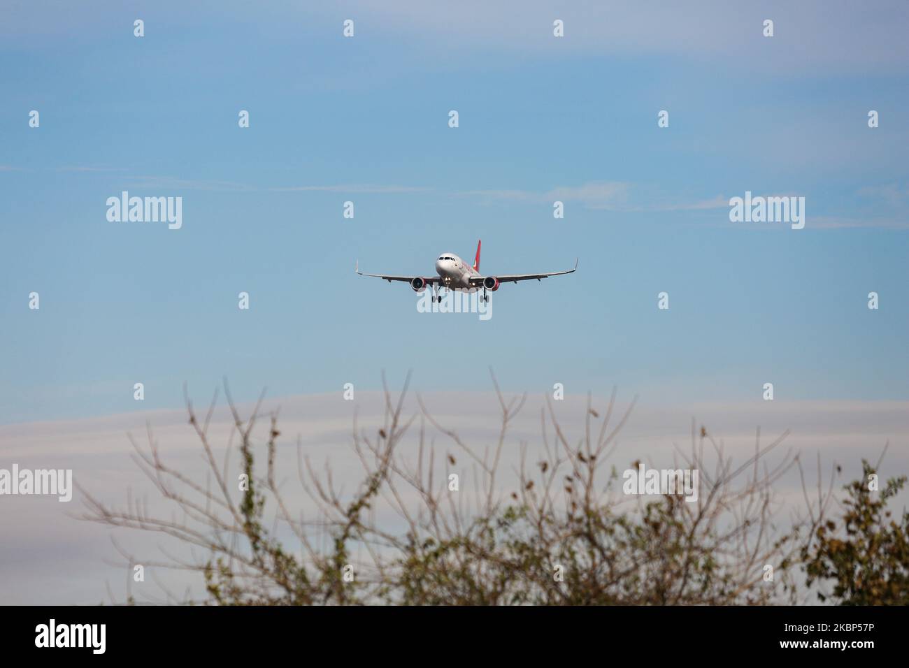 Avianca Aerovias del Continente Americano Airbus A319 come visto all'atterraggio finale di avvicinamento all'aeroporto internazionale JFK John F Kennedy di New York, USA. L'aereo passeggeri a corpo stretto Airbus A319-100 è alimentato da motori a getto 2 CFMI, aventi la registrazione N723AV. Avianca AV / AVA è una compagnia aerea colombiana, il vettore di bandiera della Colombia con sede a Bogotà e membro della Star Alliance Aviation Alliance. Il 10 maggio 2020, Avianca ha depositato per fallimento di Capitolo 11 in un tribunale a New York City, NY, Stati Uniti, e ha liquidato la sua controllata Avianca Perù, diventando uno di Foto Stock