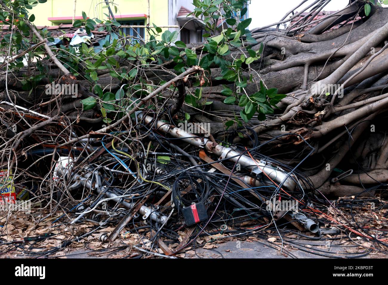 Lampada elettrica posta dopo albero caduto su di esso, in seguito al recente Super Cyclone AMPHAN nel distretto di Hooghly nel Bengala Occidentale il 29,2020 maggio in India. (Foto di Debajyoti Chakraborty/NurPhoto) Foto Stock