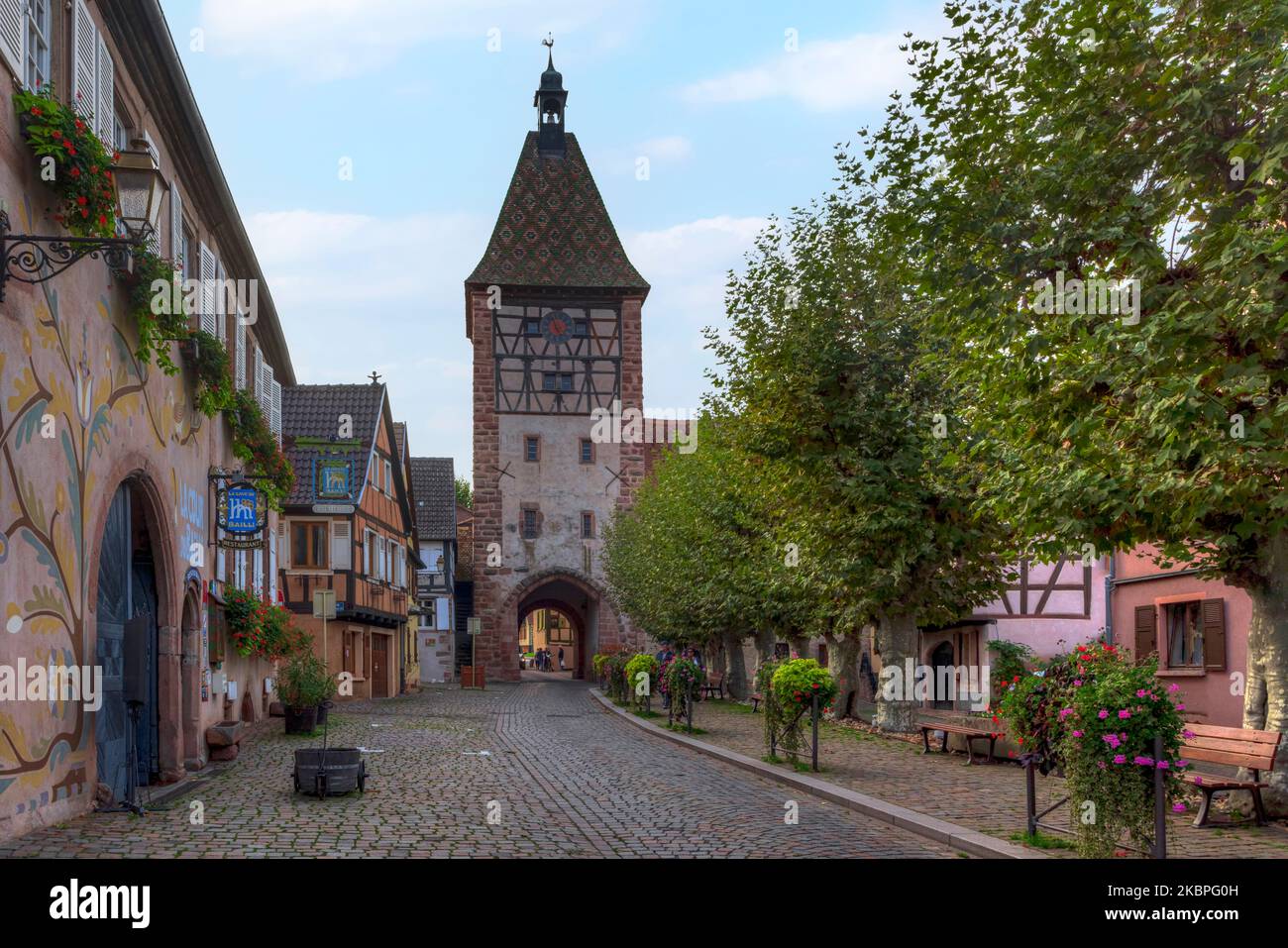 Bergheim, Alsazia, Alto Reno, Grand Est, Francia Foto Stock