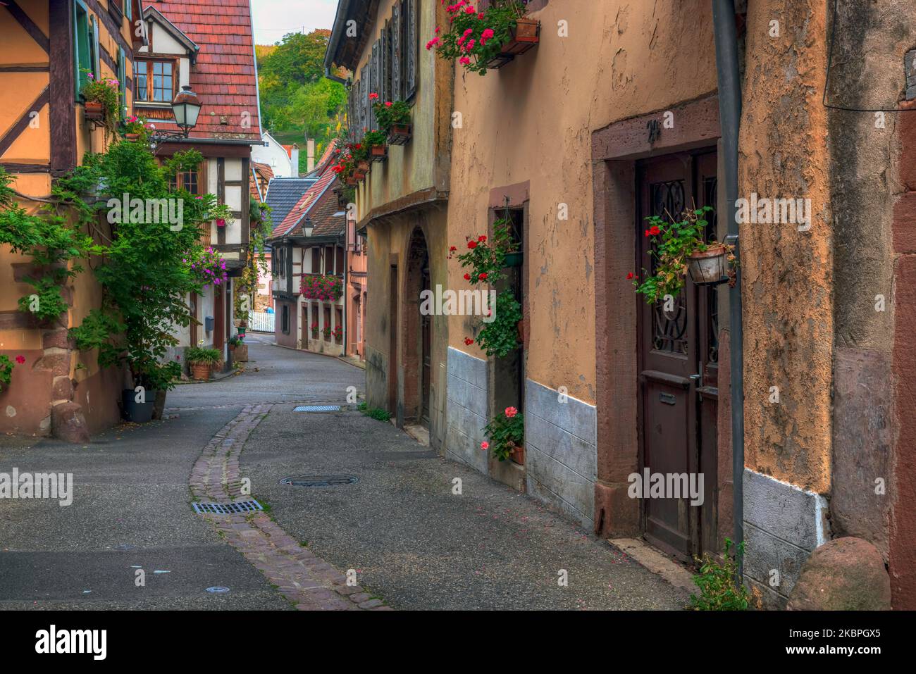 Ribeauville, Alsazia, Alto Reno, Grand Est, Francia Foto Stock