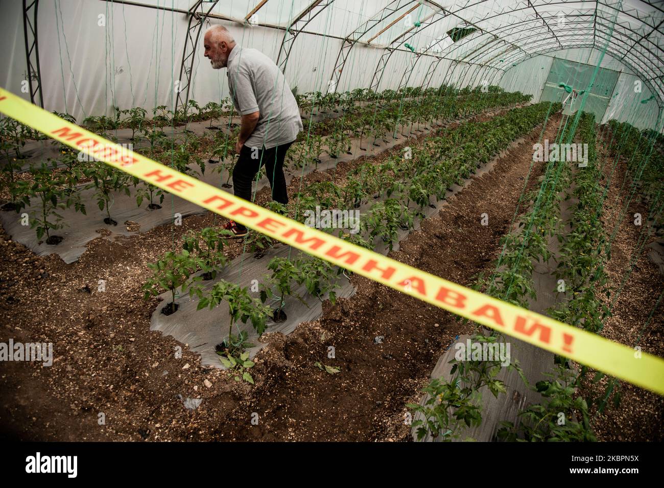 Hassan Efraimov ispezionare la fattoria, Dobrich, Bulgaria. The Wonderful Garden - la prima impresa sociale nella città di Dobrich, Bulgaria, che impiega 16 persone con disabilità fisiche e intellettuali. Per molti di loro, questo è il loro primo lavoro nella vita. Ci sono ancora migliaia di persone sotto tutela in Bulgaria. Maria Metodieva è uno dei fondatori della Fondazione San Nicola il Wonderworker e l'impresa sociale il meraviglioso Giardino. Da più di 22 anni, le persone con vari deficit si sono adoperate per acquisire pari diritti e abolire le restrizioni. Grazie alla f Foto Stock