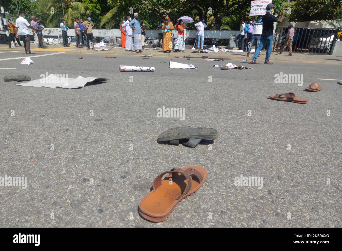 Che vive in sri lanka immagini e fotografie stock ad alta risoluzione
