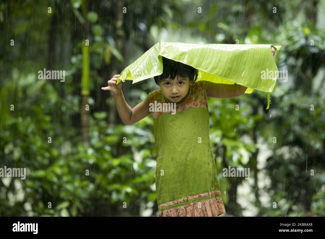 Un bambino usa le foglie di banana per proteggersi dalla pioggia in Feni, Bangladesh, il 18 giugno 2020. (Foto di Zakir Hossain Chowdhury/NurPhoto) Foto Stock