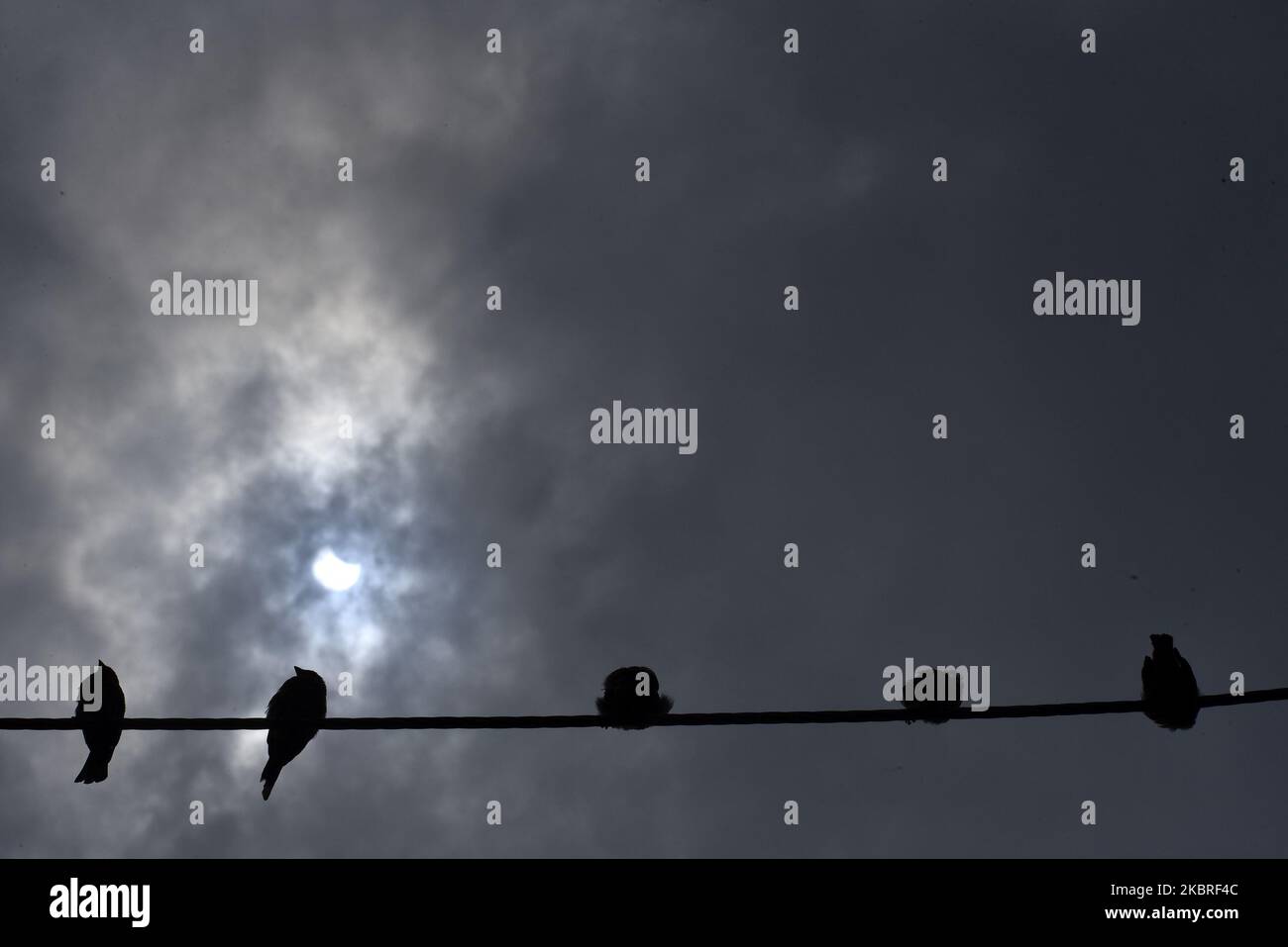 Uccelli visti in primo piano come Eclipse solare parziale visto da Kirtipur, Kathmandu, Nepal Domenica, 21 giugno 2020. (Foto di Narayan Maharjan/NurPhoto) Foto Stock