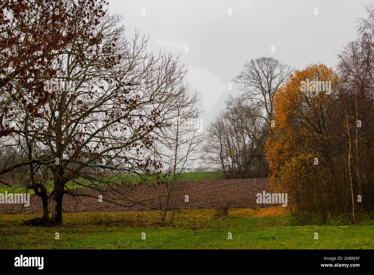 Campo arato in Lettonia in autunno Foto Stock