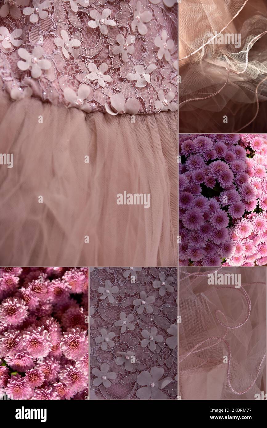 Fondo rosa polvere, tessuto, tessuto, colore alla moda. Foto Stock