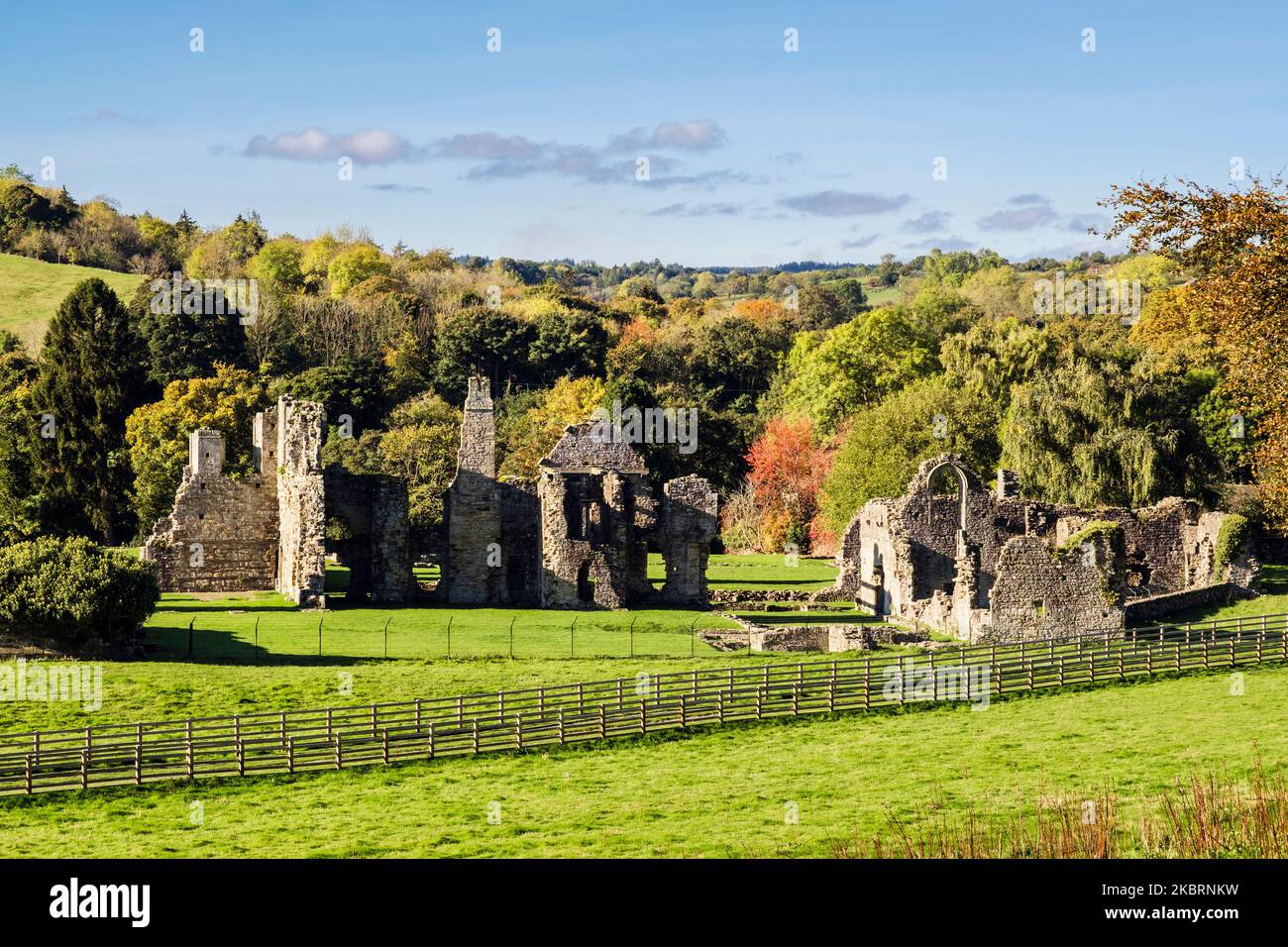 Rovine dell'Abbazia di Easby o Abbazia di Sant'Agata in campagna a Swaledale. Richmond, North Yorkshire, Inghilterra, Regno Unito, Gran Bretagna Foto Stock