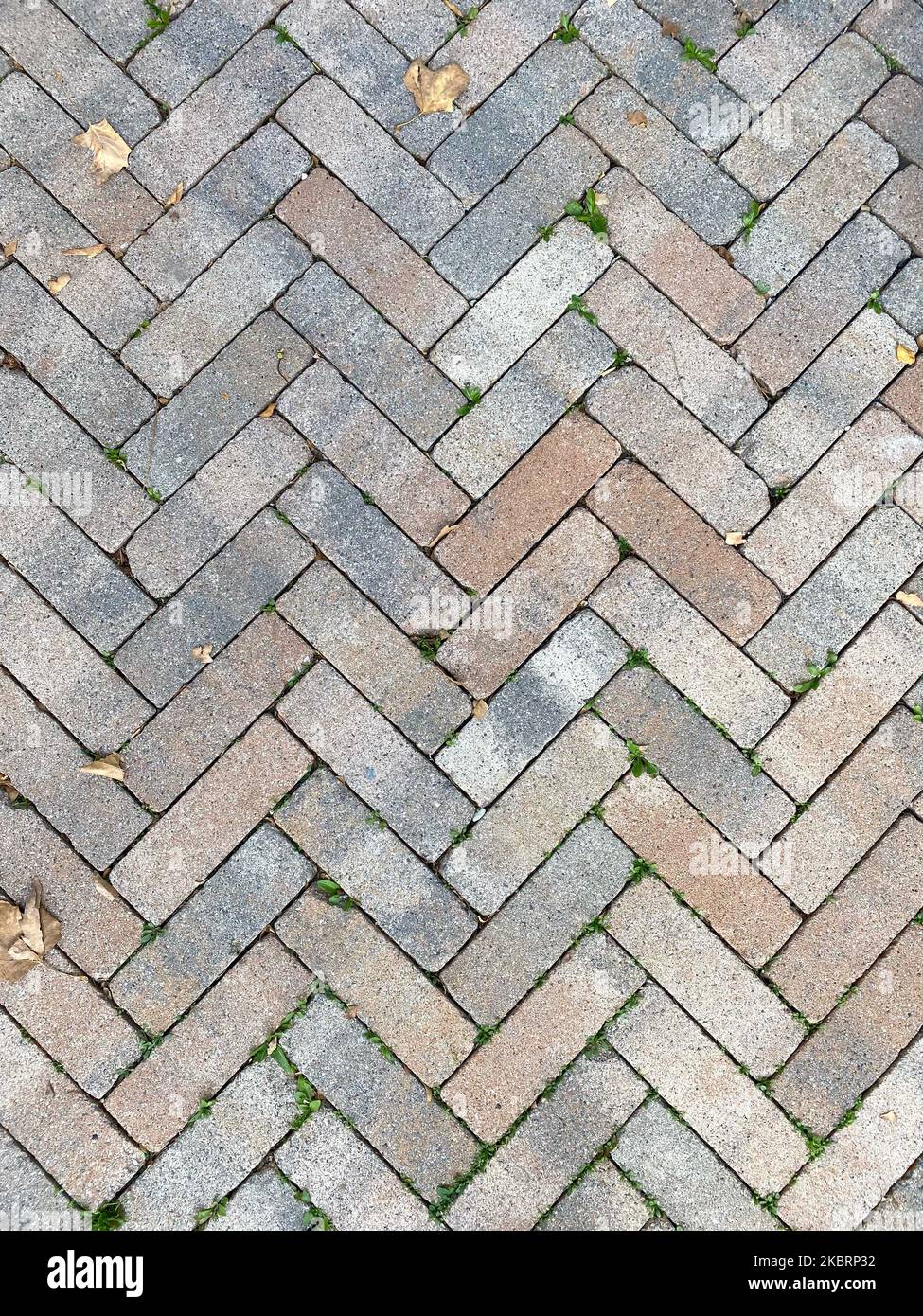 pavimentatori in mattoni posati in un motivo a spina di pesce, sfondo Foto Stock