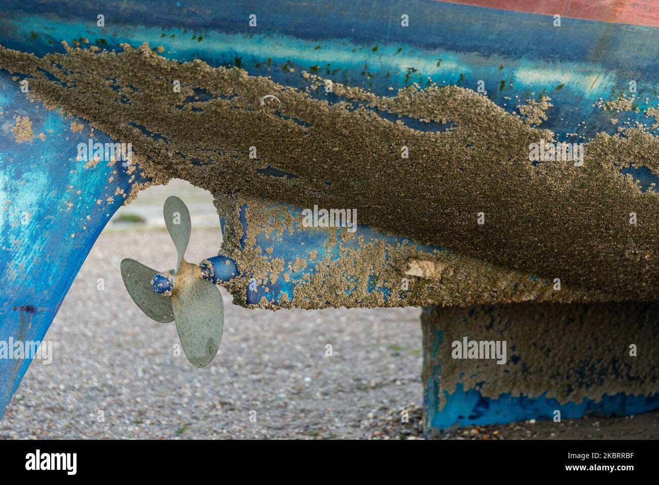 Barnacles su uno scafo yacht Foto Stock
