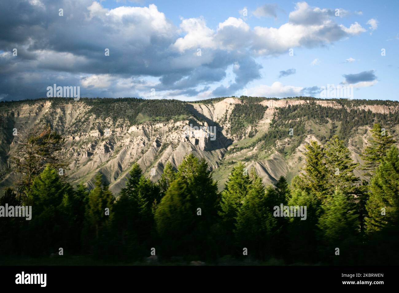 Vista del parco nazionale di Yellowstone, Stati Uniti, il 19 giugno 2020. (Foto di Karla Ann Cote/NurPhoto) Foto Stock