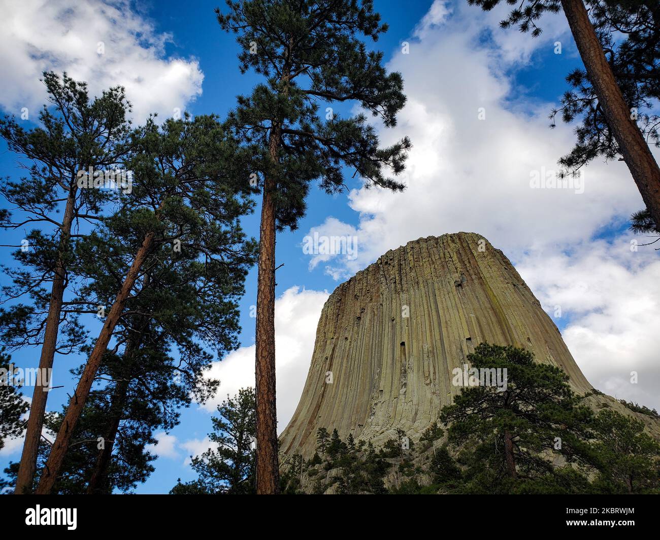 Devil's Tower, Wyoming, USA, il 18 giugno 2020. (Foto di Karla Ann Cote/NurPhoto) Foto Stock