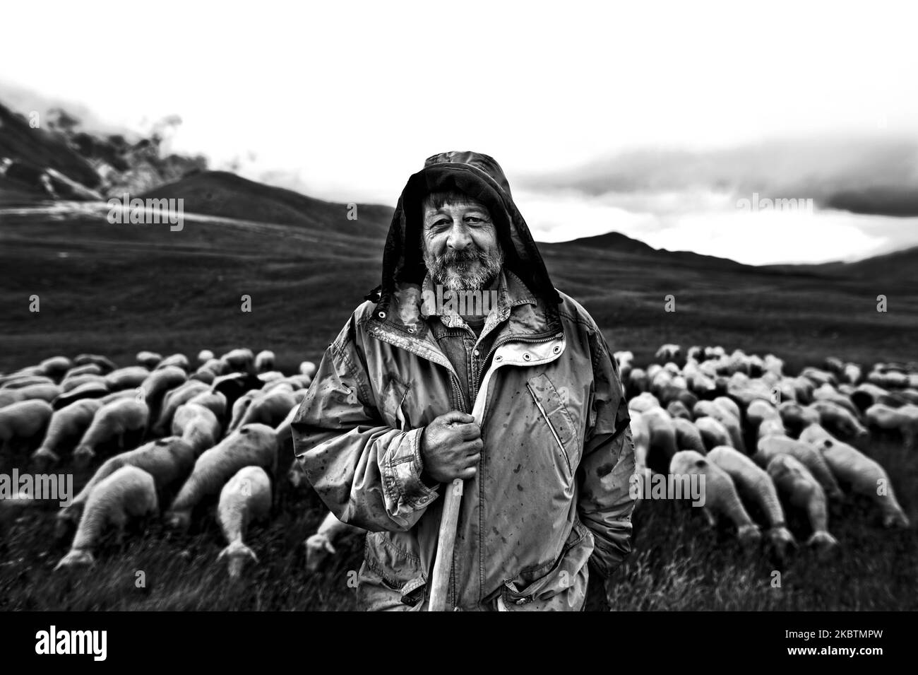 (NOTA DELL'EDITORE: L'immagine è stata convertita in bianco e nero) Ritratto di un pastore italiano con il suo gregge di pecore nella piana di campo Imperatore, in Abruzzo Italia, il 15 luglio 2020. (Foto di Andrea Mancini/NurPhoto) Foto Stock