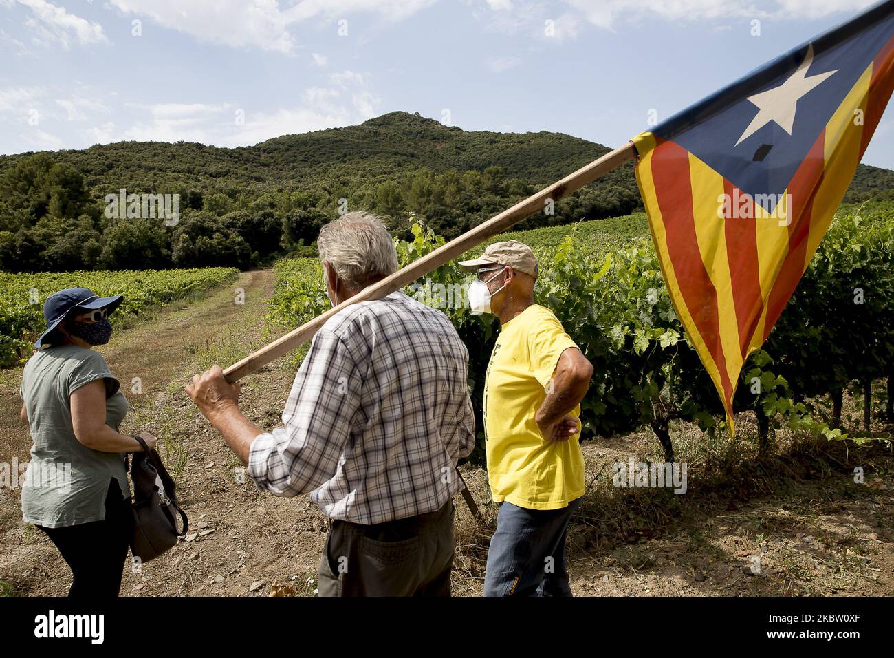Migliaia di persone pro-indipendenza e repubblicane dimostrano e affrontano la polizia nei vigneti che circondano il monastero di Poblet durante la visita del re Felipe VI di Spagna e della regina Letizia. Con lo slogan ''la Catalogna non ha re'', i separatisti catalani volevano arrivare al punto in cui era il capo della Spagna. A Poblet, Catalogna, Spagna, il 20 luglio 2020. (Foto di Albert Llop/NurPhoto) Foto Stock